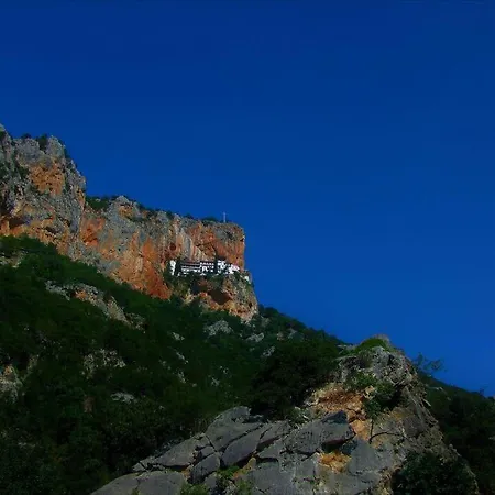 κέδρος Leonidio